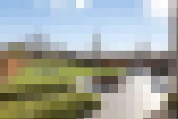 Meursstraat 5 Heesch thumbnail 4