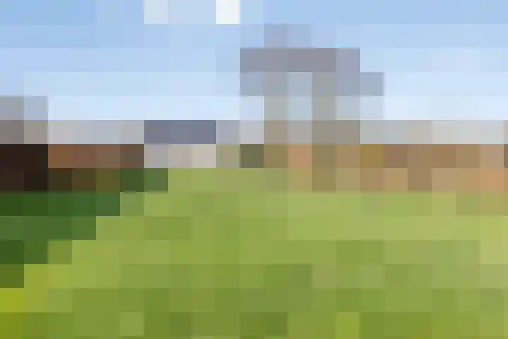 Meursstraat 5 Heesch thumbnail 53