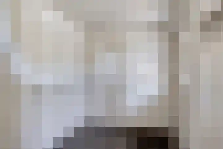 Meursstraat 5 Heesch thumbnail 9