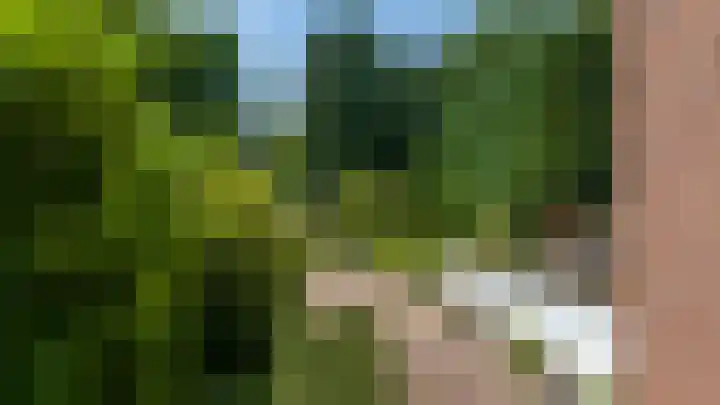 Meuserstraat 123 Kerkrade thumbnail 28