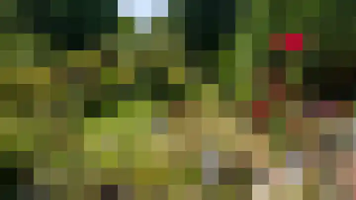Meuserstraat 123 Kerkrade thumbnail 35
