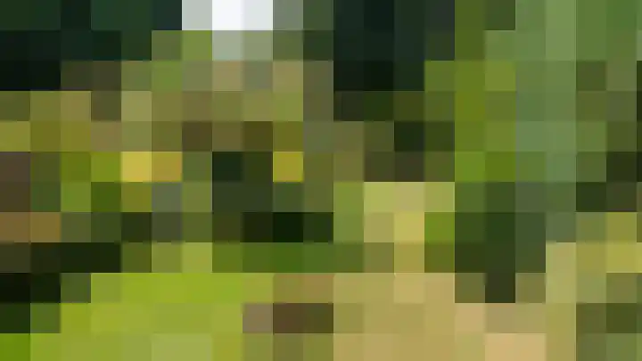 Meuserstraat 123 Kerkrade thumbnail 36