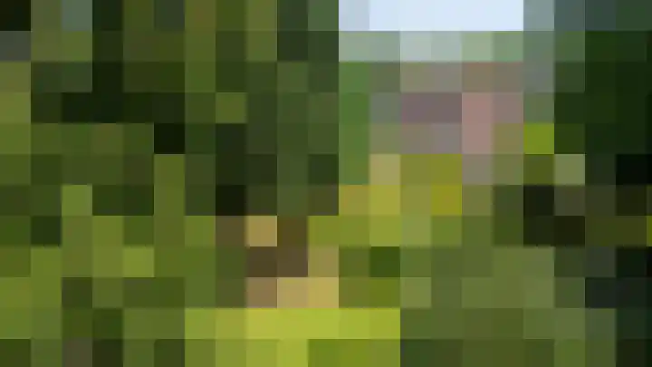Meuserstraat 123 Kerkrade thumbnail 40