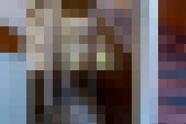 Meuserstraat 123 Kerkrade thumbnail 5