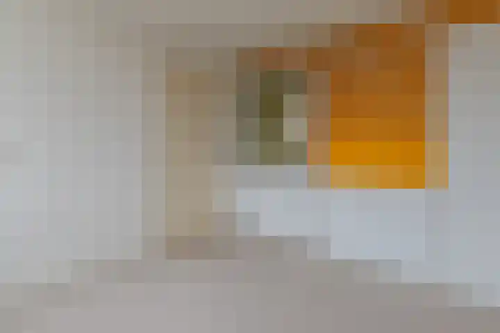 Meyenhagen 17 Bilthoven thumbnail 22