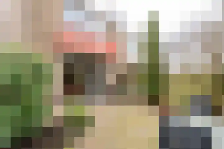 Meyenhagen 17 Bilthoven thumbnail 30