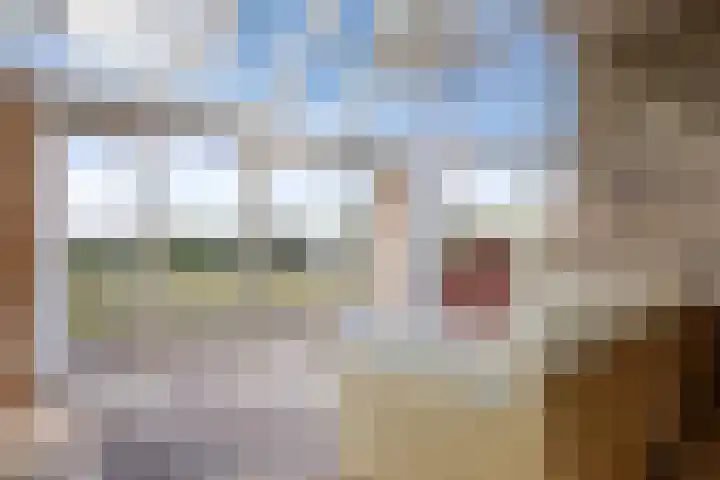 Meyertebos 15 Den Burg thumbnail 11