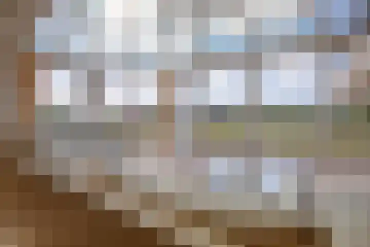 Meyertebos 15 Den Burg thumbnail 13