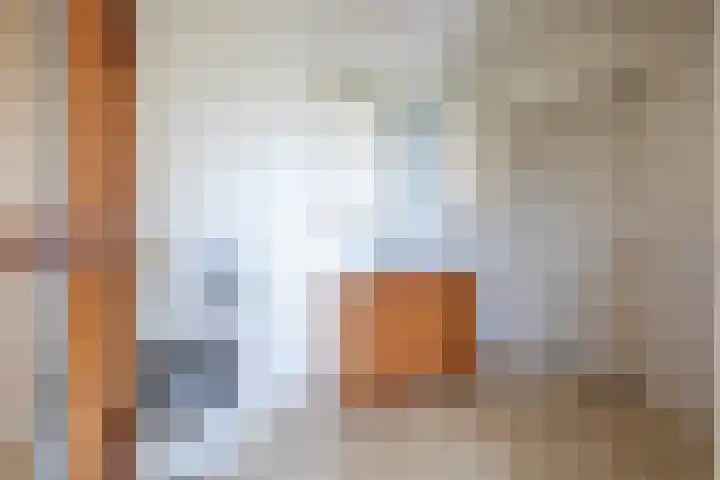 Meyertebos 15 Den Burg thumbnail 17