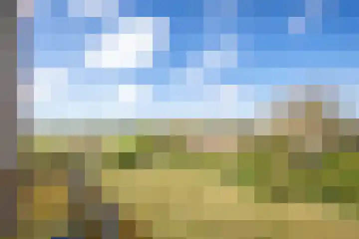 Meyertebos 15 Den Burg thumbnail 31