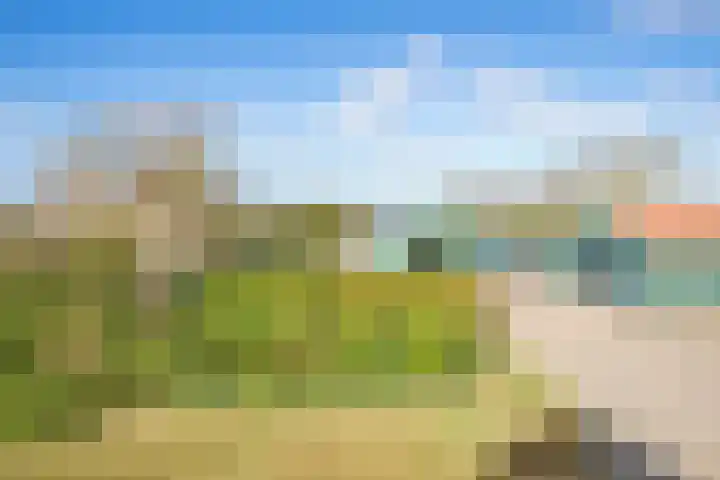 Meyertebos 15 Den Burg thumbnail 32