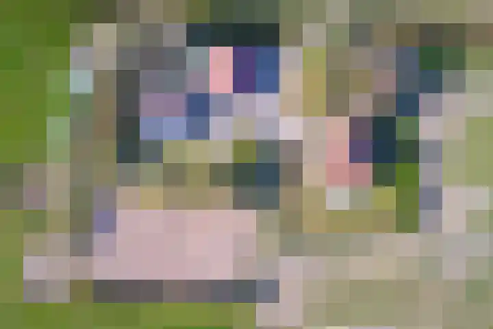 Meyertebos 15 Den Burg thumbnail 43