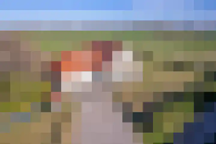 Meyertebos 15 Den Burg thumbnail 46