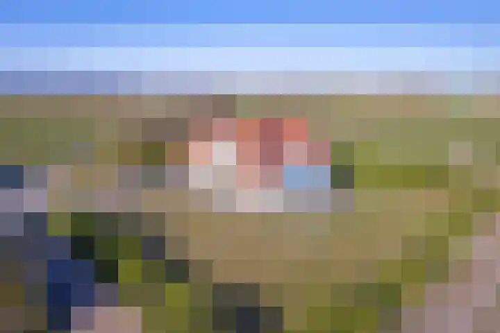 Meyertebos 15 Den Burg thumbnail 47