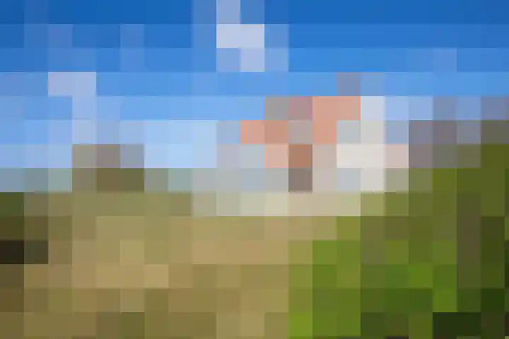 Meyertebos 15 Den Burg thumbnail 50