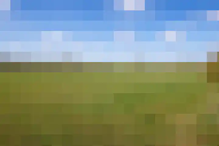 Meyertebos 15 Den Burg thumbnail 62