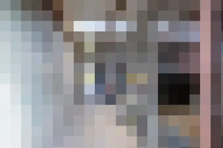 Meyertebos 15 Den Burg thumbnail 69