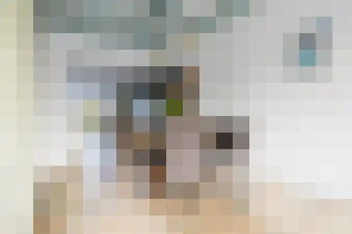 Meyerweg 13 De Knipe thumbnail 26