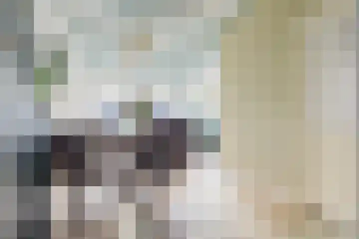 Meyerweg 13 De Knipe thumbnail 27