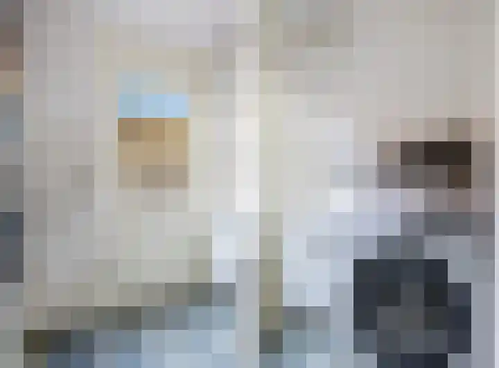 Meyerweg 13 De Knipe thumbnail 33