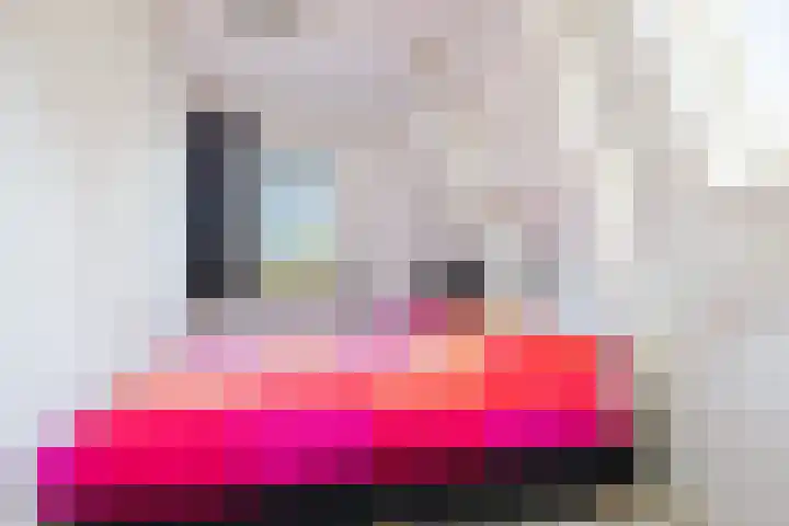 Meyerweg 13 De Knipe thumbnail 40
