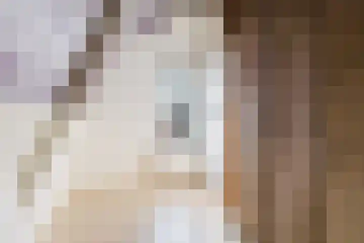 Meyerweg 13 De Knipe thumbnail 44