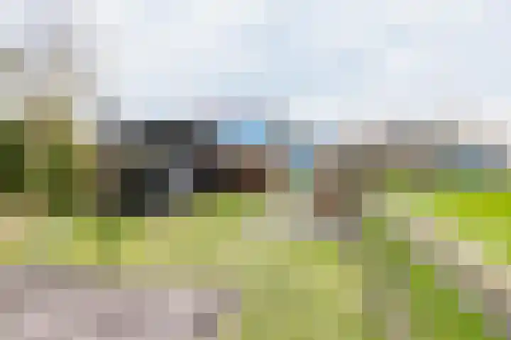 Meyerweg 13 De Knipe thumbnail 5