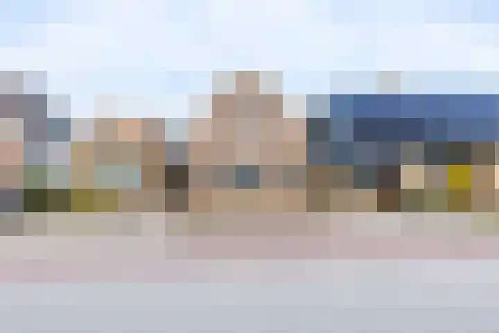 Meyerweg 13 De Knipe thumbnail 8
