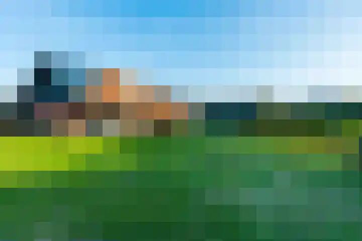 Meyerweg 90 De Knipe thumbnail 40