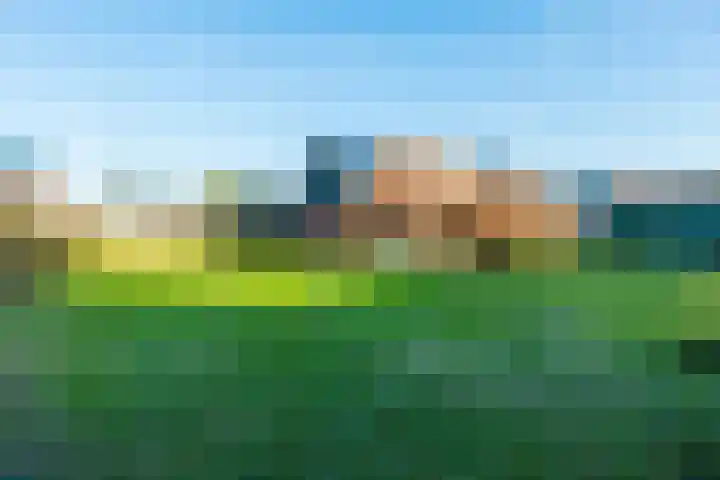 Meyerweg 90 De Knipe thumbnail 41