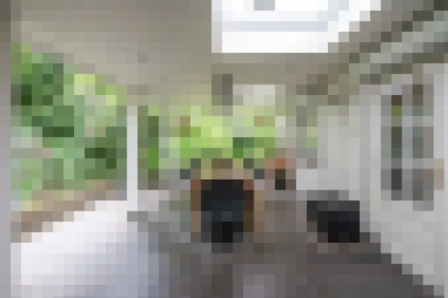Mezenlaan 1 Leende thumbnail 17