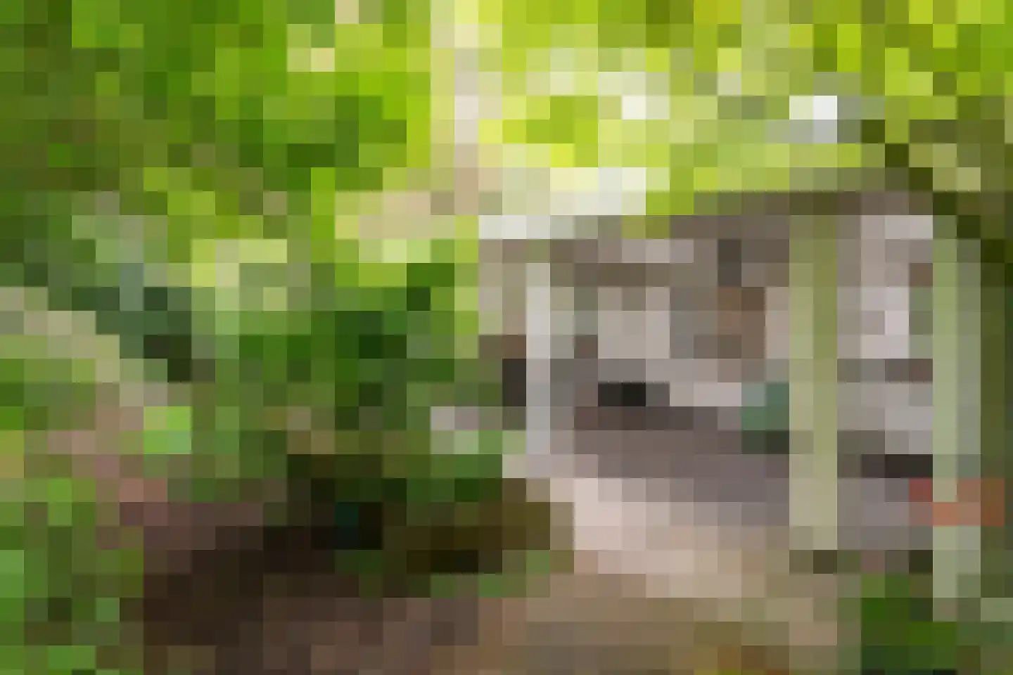 Mezenlaan 1 Leende thumbnail 18