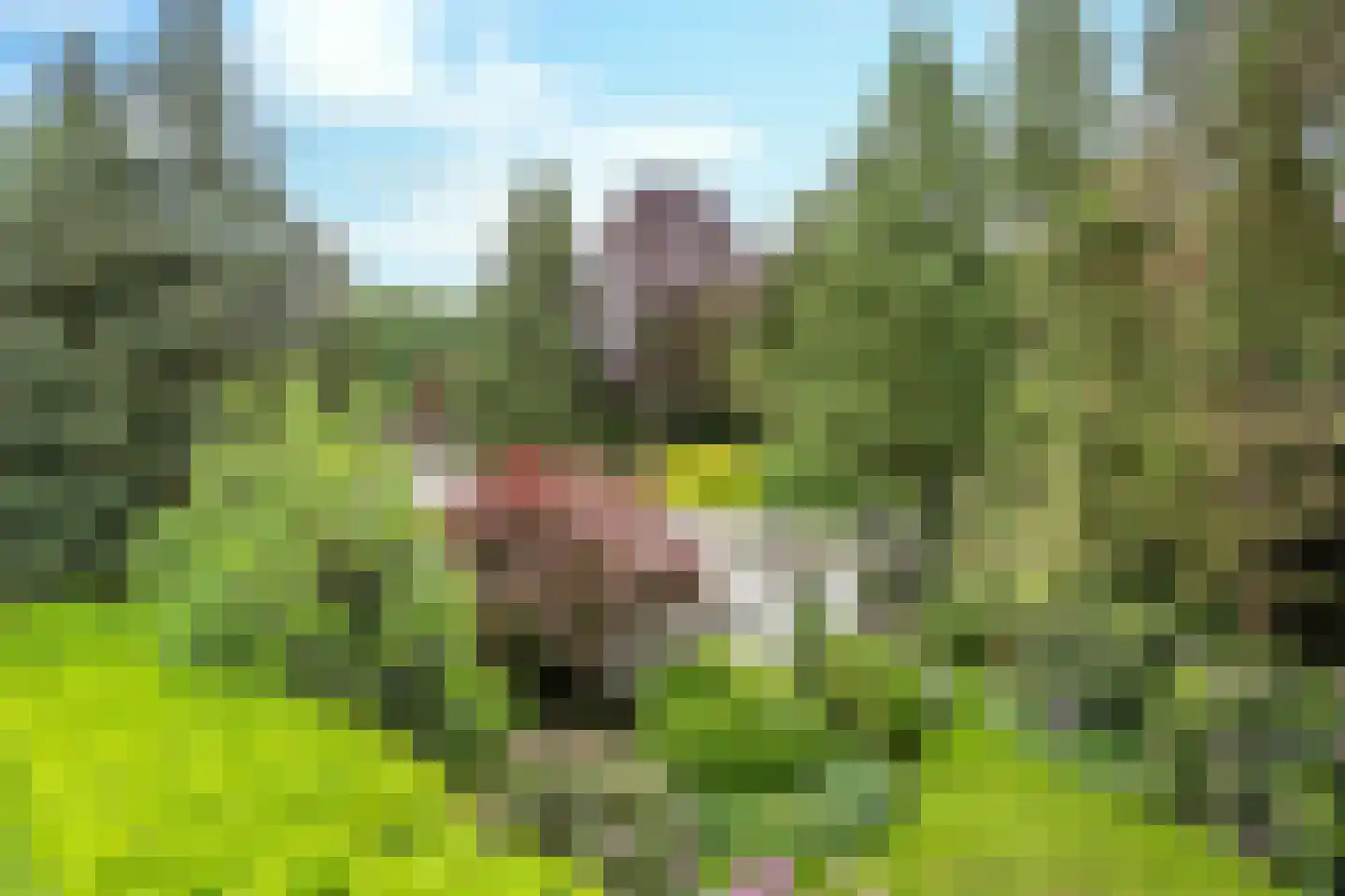 Mezenlaan 1 Leende foto 3