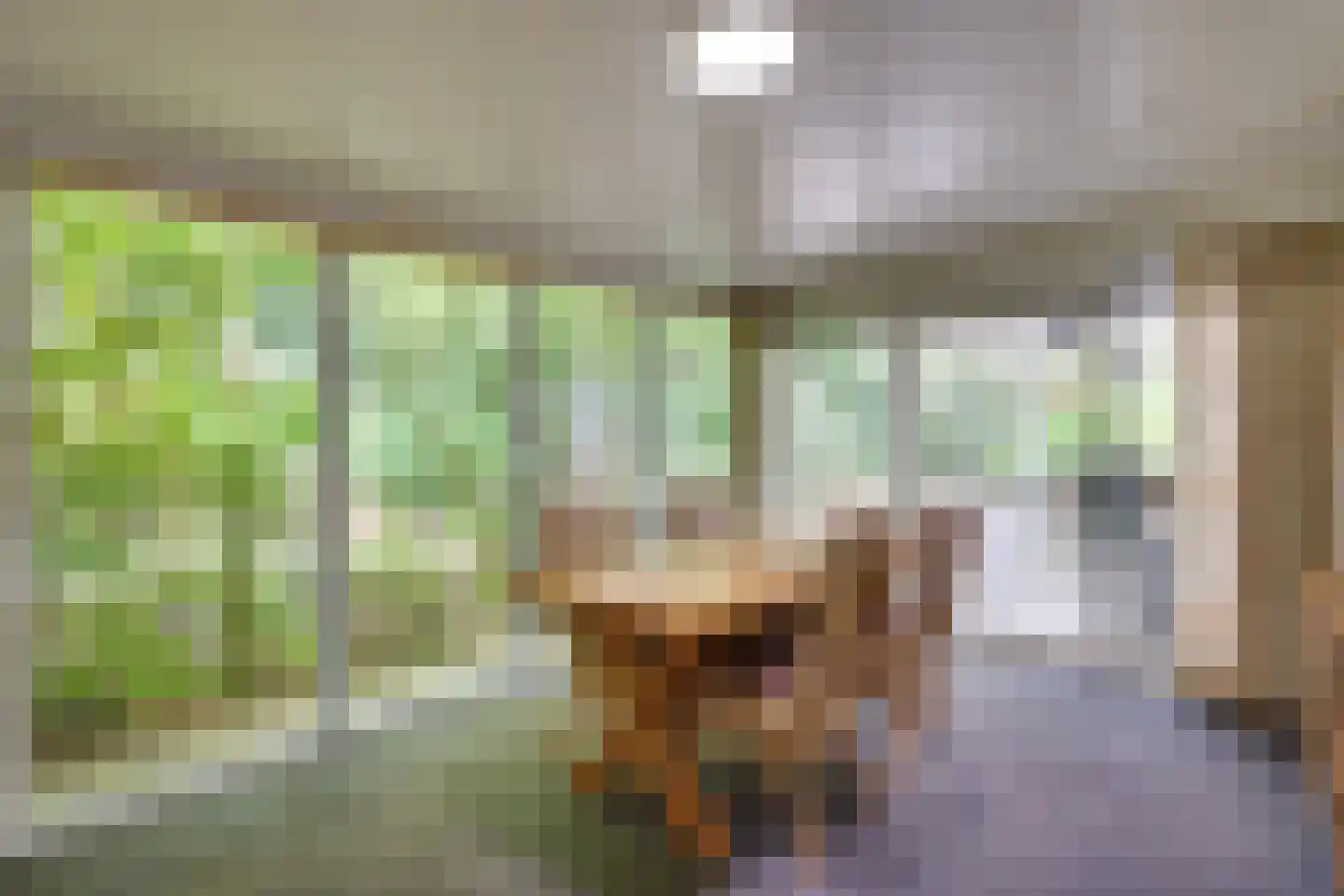 Mezenlaan 1 Leende thumbnail 38