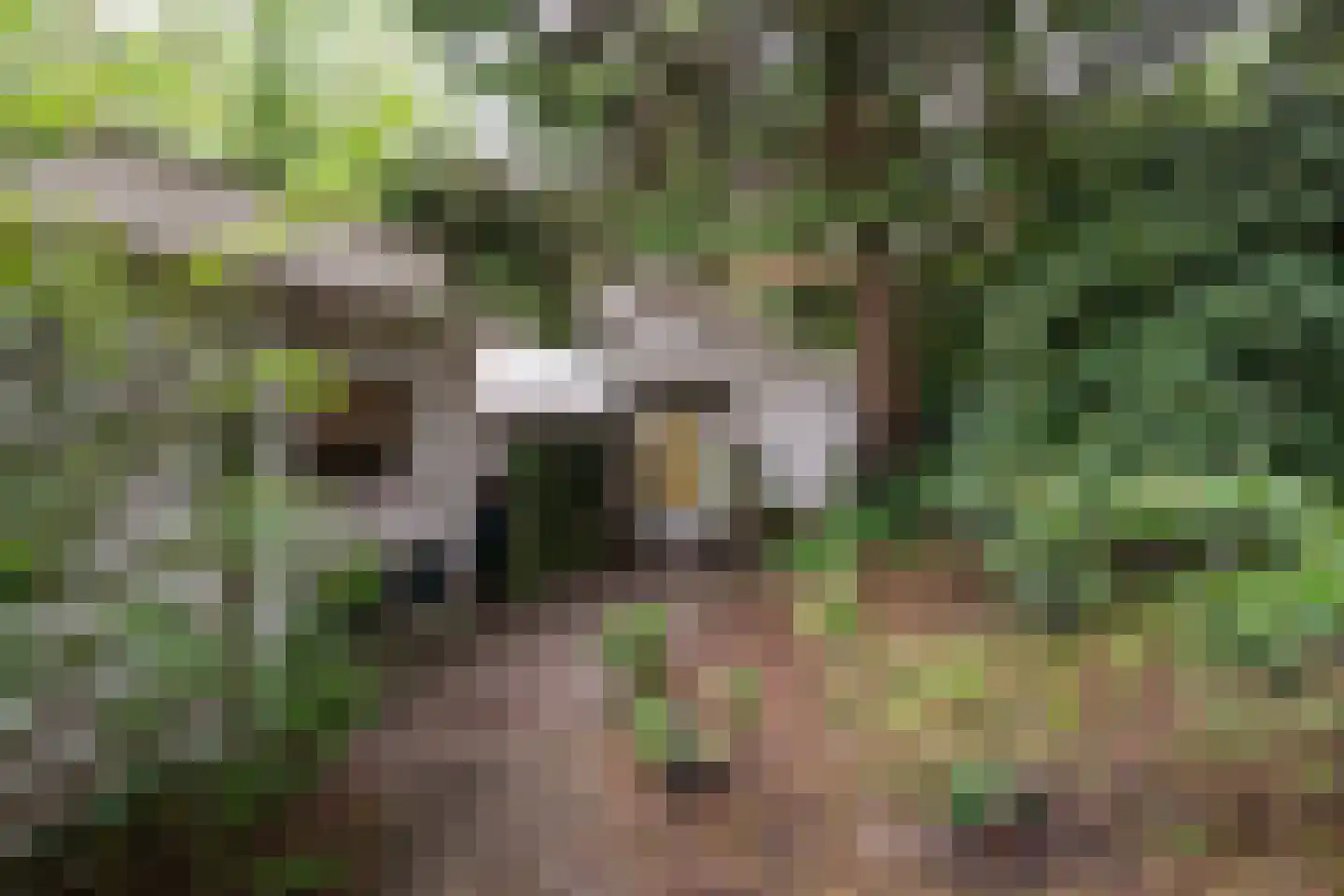Mezenlaan 1 Leende thumbnail 42