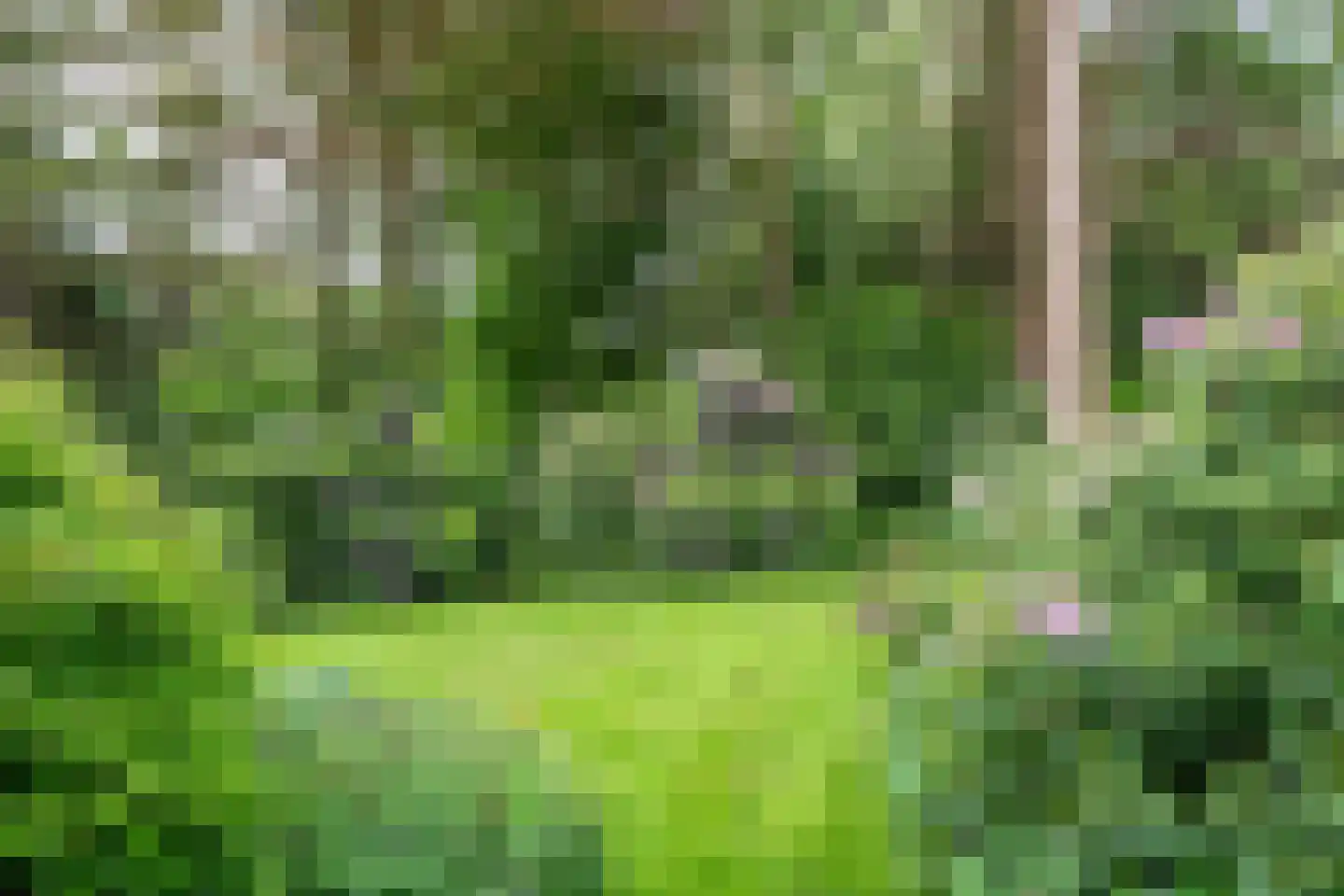 Mezenlaan 1 Leende thumbnail 48