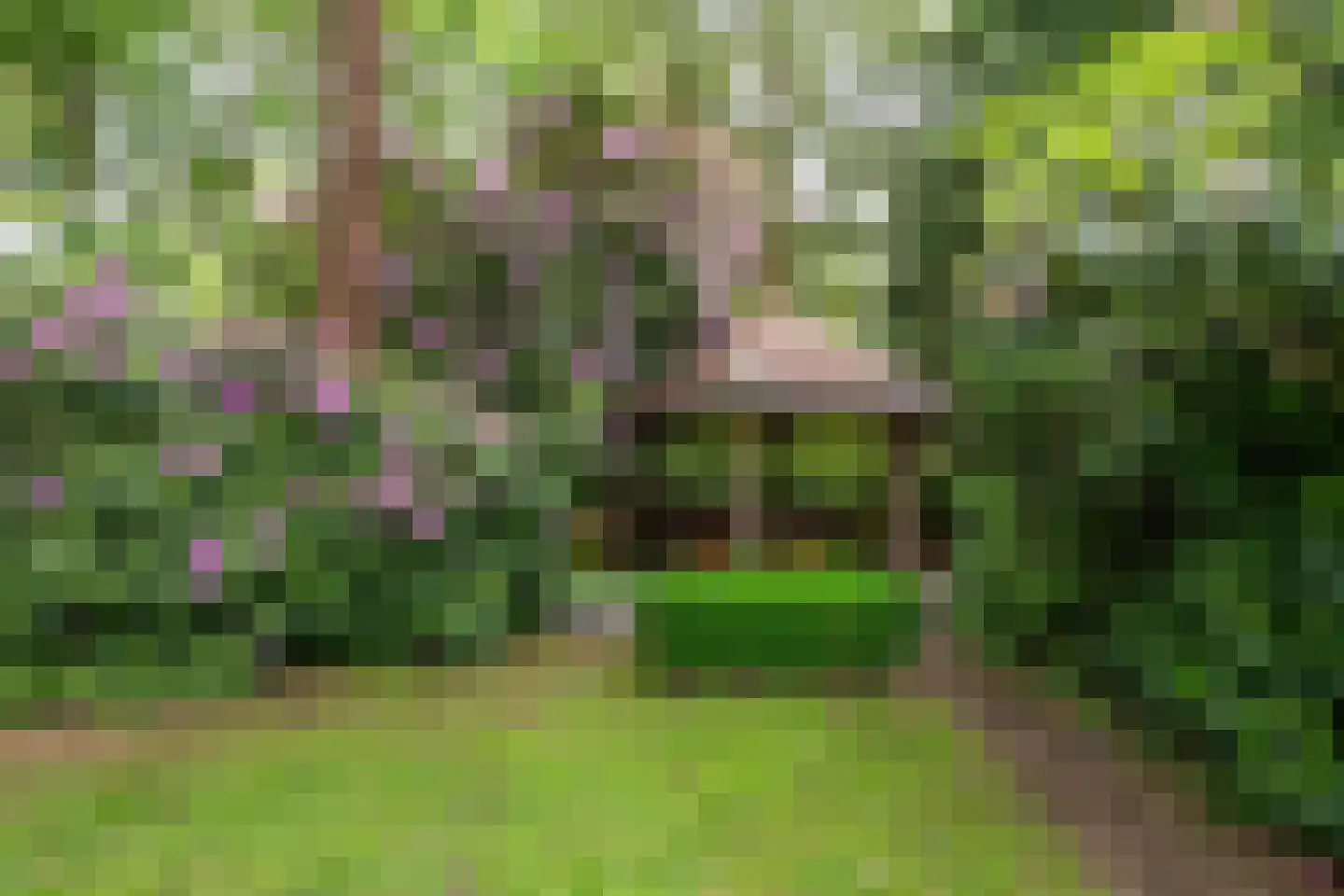 Mezenlaan 1 Leende thumbnail 52