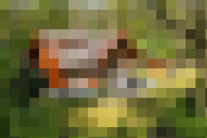 Mezenlaan 18 in Norg