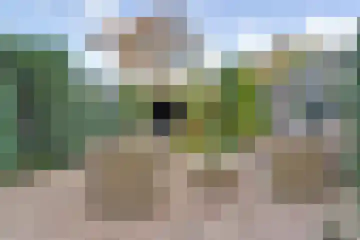Mezenlaan 98 Dieren thumbnail 25
