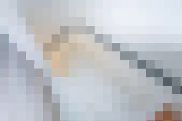 Mezenpad 124 Ulft thumbnail 30