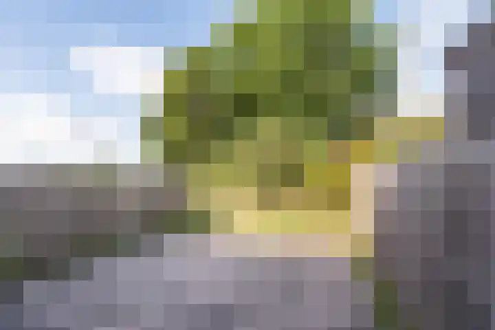 Mezenpad 124 Ulft thumbnail 34