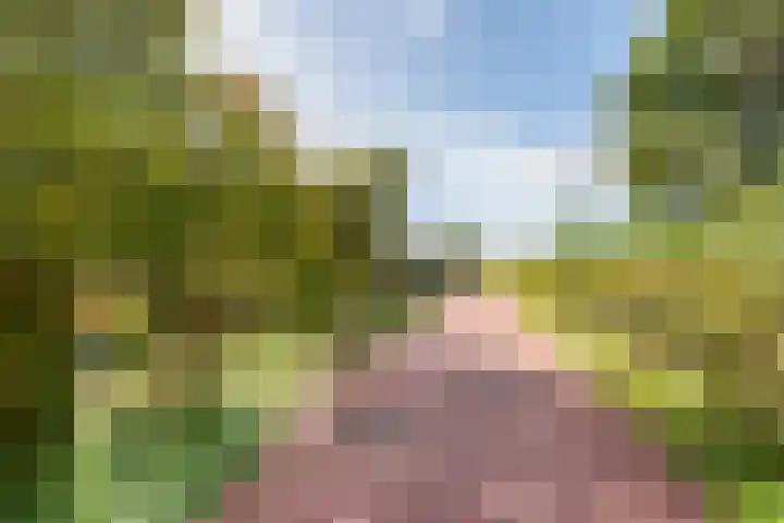 Mezenpad 124 Ulft thumbnail 36