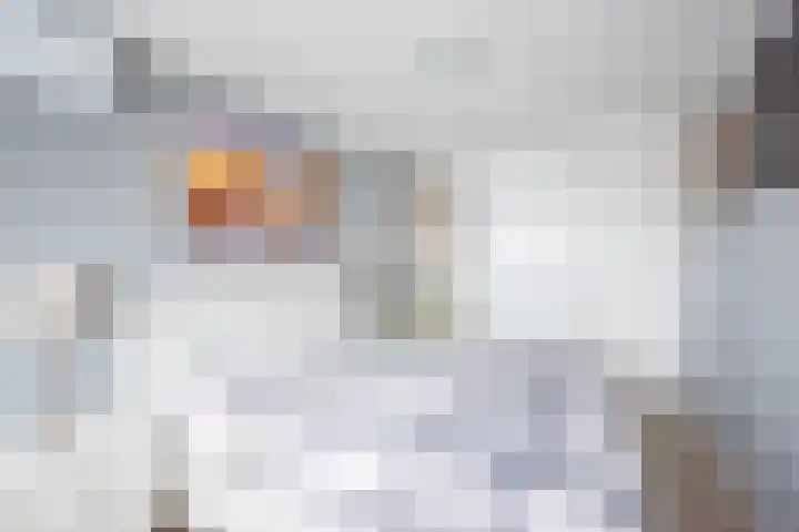 Mezenpad 14 Ulft thumbnail 22