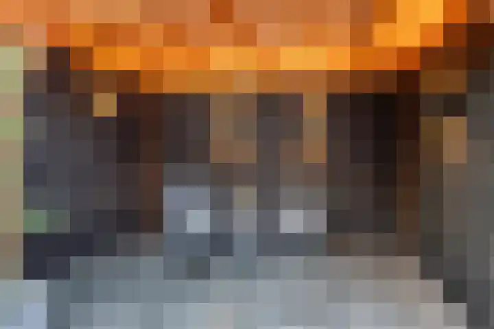 Mezenpad 14 Ulft thumbnail 38