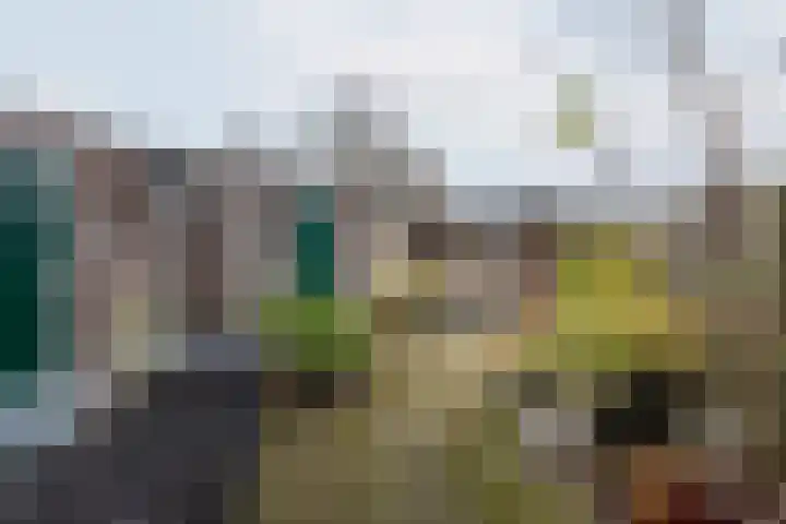 Mezenpad 4 Ulft thumbnail 41