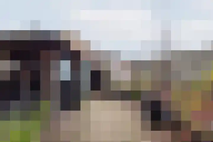 Mezenpad 4 Ulft thumbnail 7
