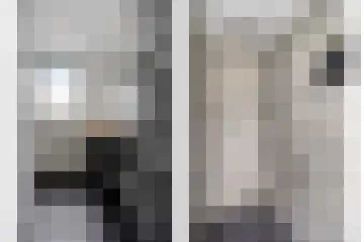 Mezenstraat 5 Oss thumbnail 15