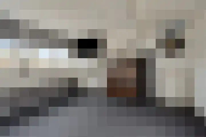 Mezenstraat 5 Oss thumbnail 17
