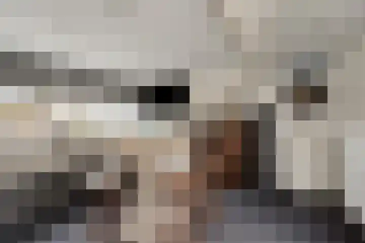 Mezenstraat 5 Oss thumbnail 18