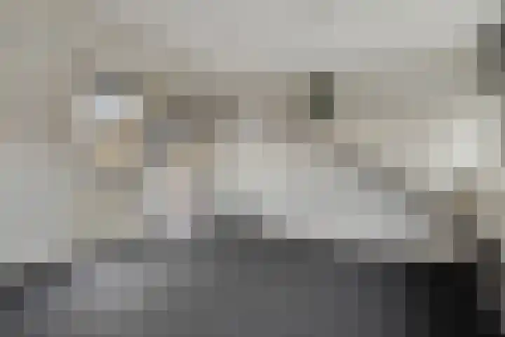Mezenstraat 5 Oss thumbnail 19